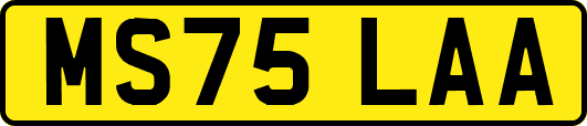 MS75LAA