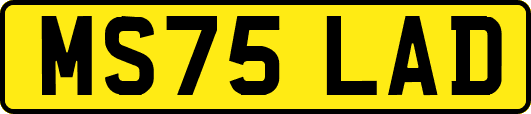 MS75LAD