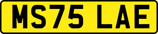 MS75LAE