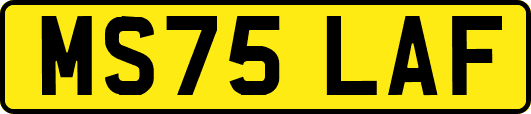 MS75LAF