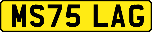 MS75LAG