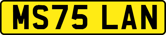 MS75LAN