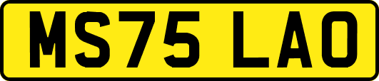 MS75LAO