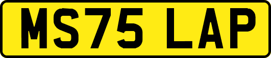 MS75LAP