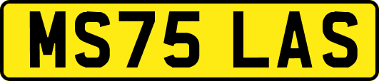 MS75LAS