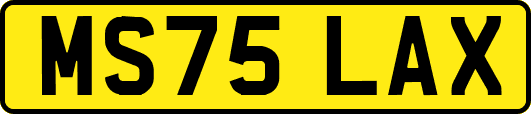 MS75LAX