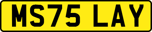 MS75LAY