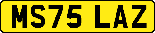 MS75LAZ