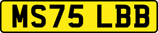 MS75LBB