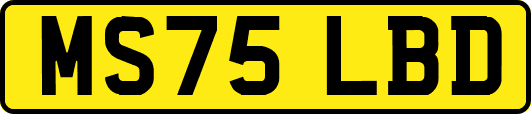 MS75LBD
