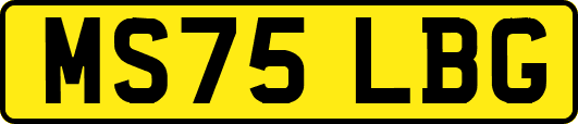 MS75LBG