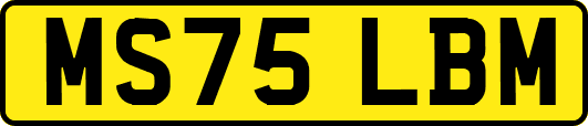 MS75LBM