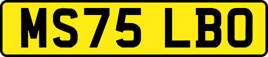 MS75LBO