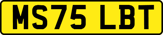 MS75LBT