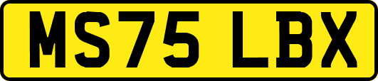 MS75LBX