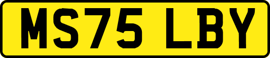 MS75LBY