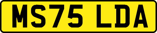 MS75LDA