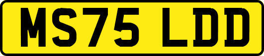MS75LDD