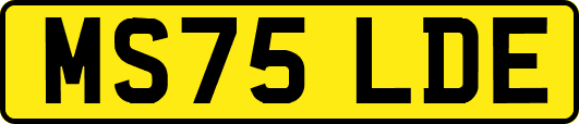 MS75LDE