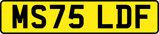 MS75LDF