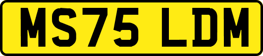 MS75LDM