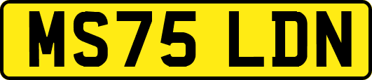 MS75LDN