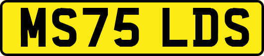 MS75LDS