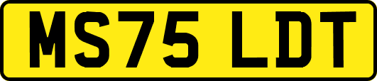 MS75LDT