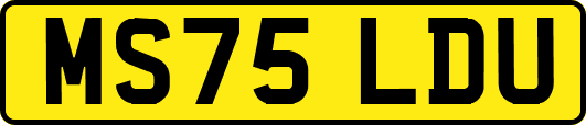 MS75LDU