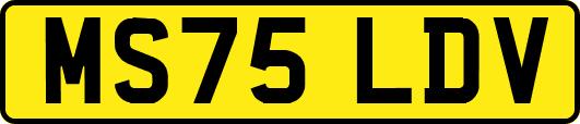 MS75LDV