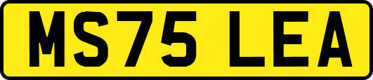 MS75LEA