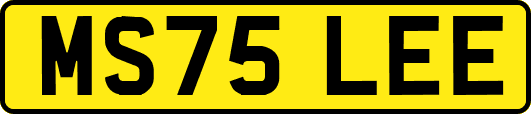 MS75LEE