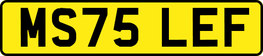 MS75LEF