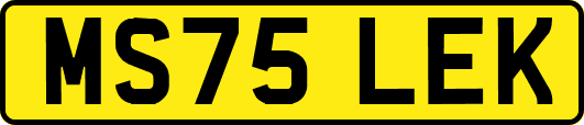 MS75LEK