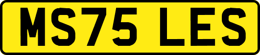 MS75LES