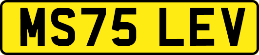 MS75LEV