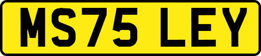 MS75LEY