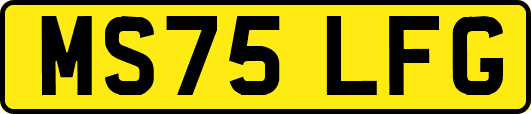 MS75LFG