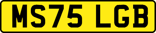 MS75LGB