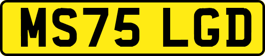 MS75LGD