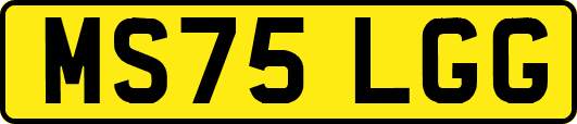 MS75LGG