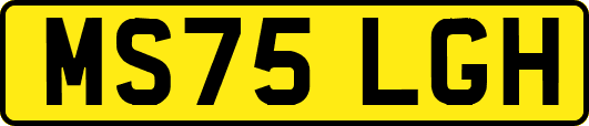 MS75LGH