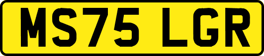 MS75LGR