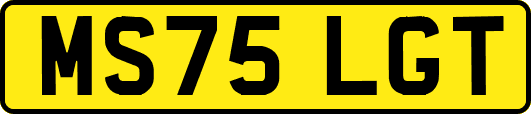 MS75LGT
