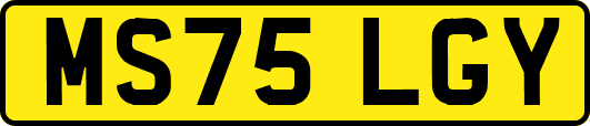 MS75LGY