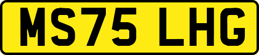 MS75LHG