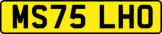 MS75LHO