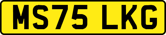 MS75LKG