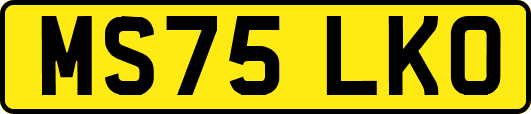 MS75LKO