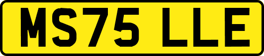 MS75LLE
